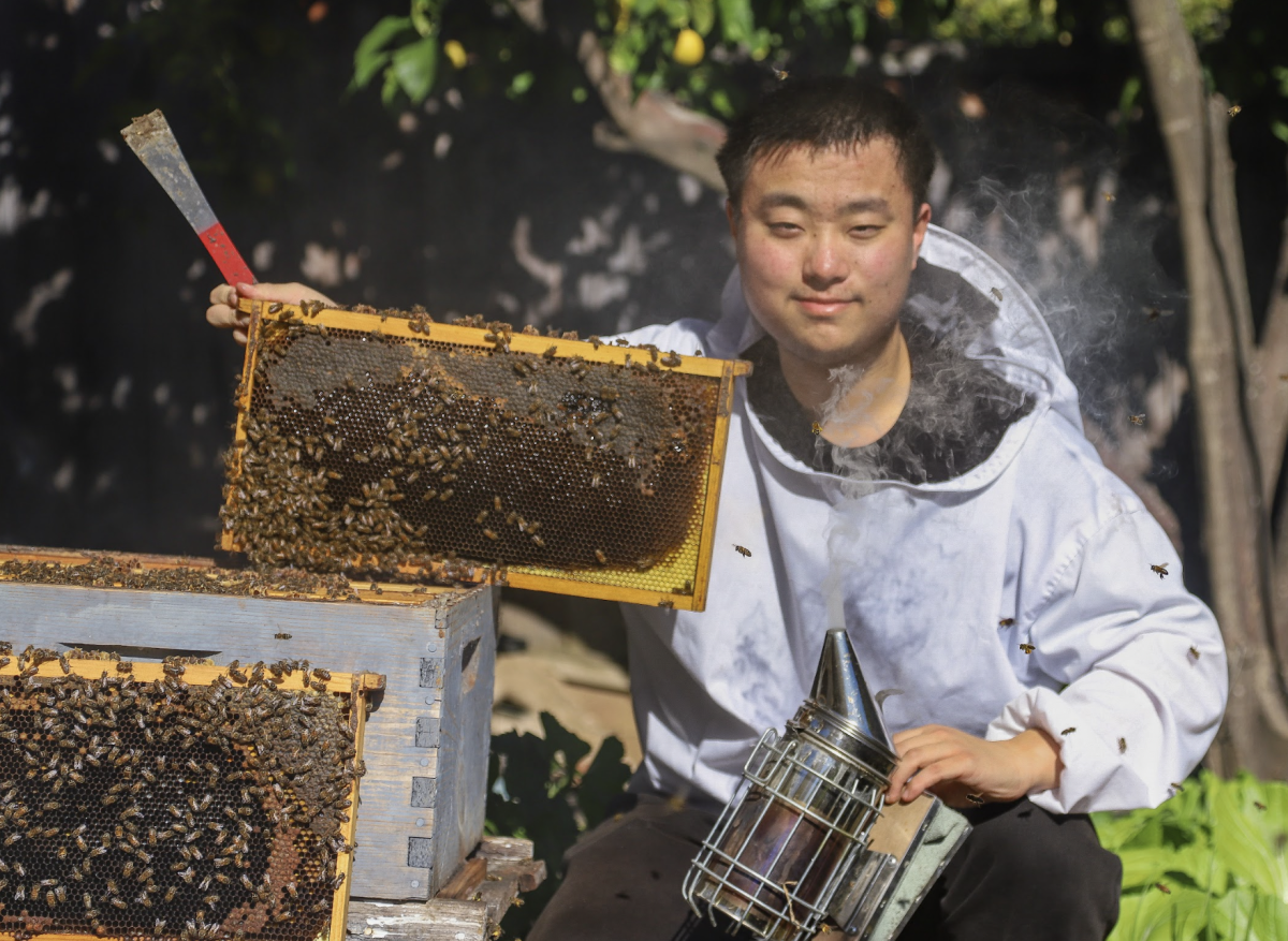 “I want to do everything I can to make people's lives easier. Whether it's helping people with homework or just doing other little things, that's something that I really value highly within myself. I’ve tried to do my best to carry that out with beekeeping: checking out what in my hive needs tending to and then responding to that," senior Andrew Liang said.